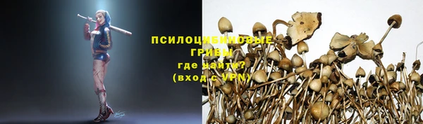 винт Рославль