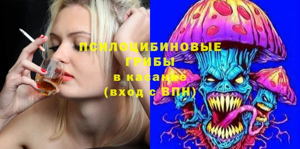 дмт Алзамай