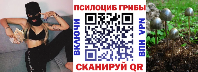 купить  цена  blacksprut маркетплейс  Галлюциногенные грибы Magic Shrooms  Барыш 